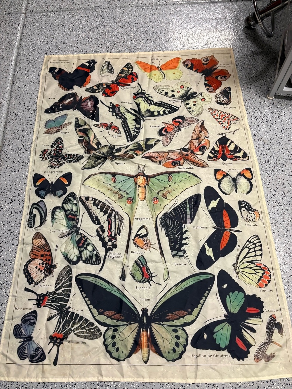 Vintage-Inspired Butterfly Wall Tapestry in Cream and Multicolor